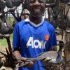 Twee Eenden gemaakt van restmetaal - Birds of Zimbabwe - Afbeelding 4