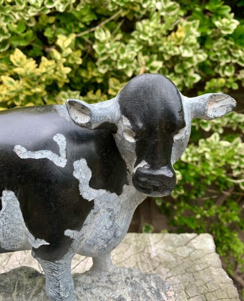 Koe, gemaakt van springsteen door Douglas Fombe uit Hatfield in Harare in Zimbabwe.