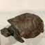 Schildpad gemaakt van het harde kleurrijke fruitsteen door David Office uit Chitungwiza in Zimbabwe.