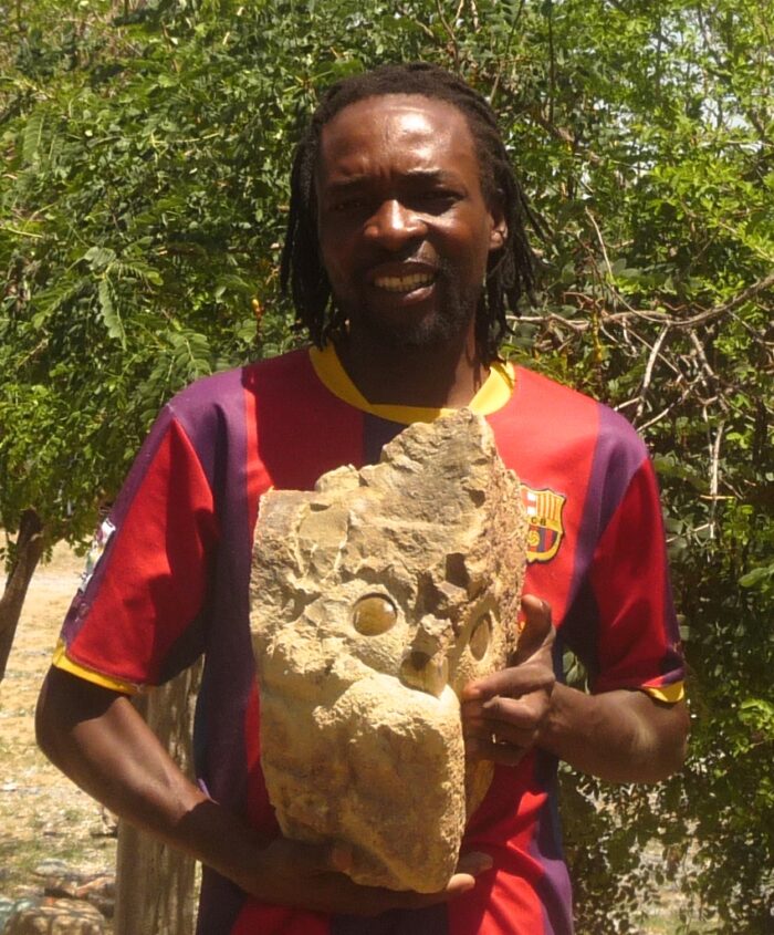 Uil gemaakt van Luipaard Steen door Taurai Mupaso uit Chitungwiza in Zimbabwe