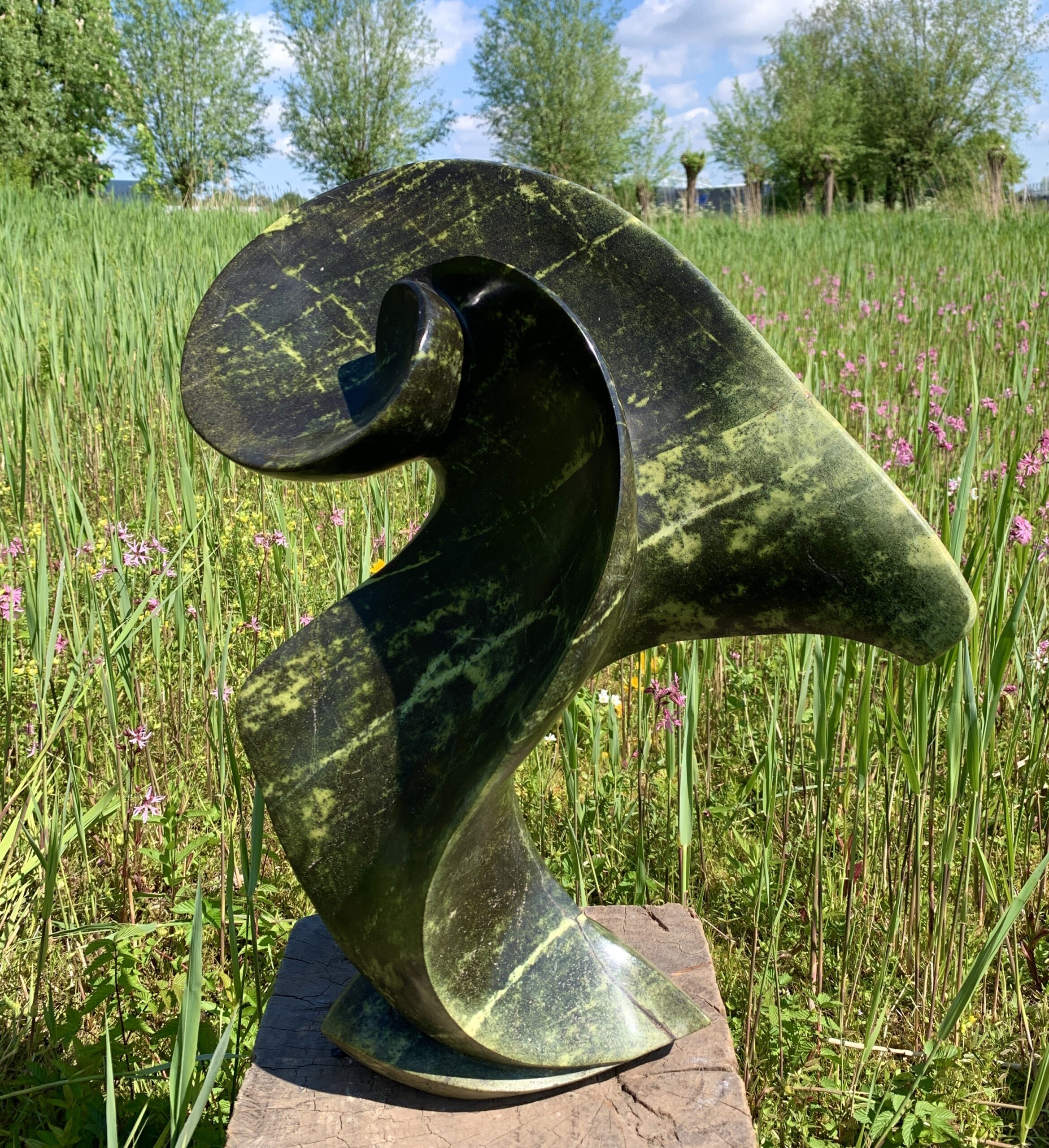 1701 - Stewart Chapenga - 53x41 - € 599,00