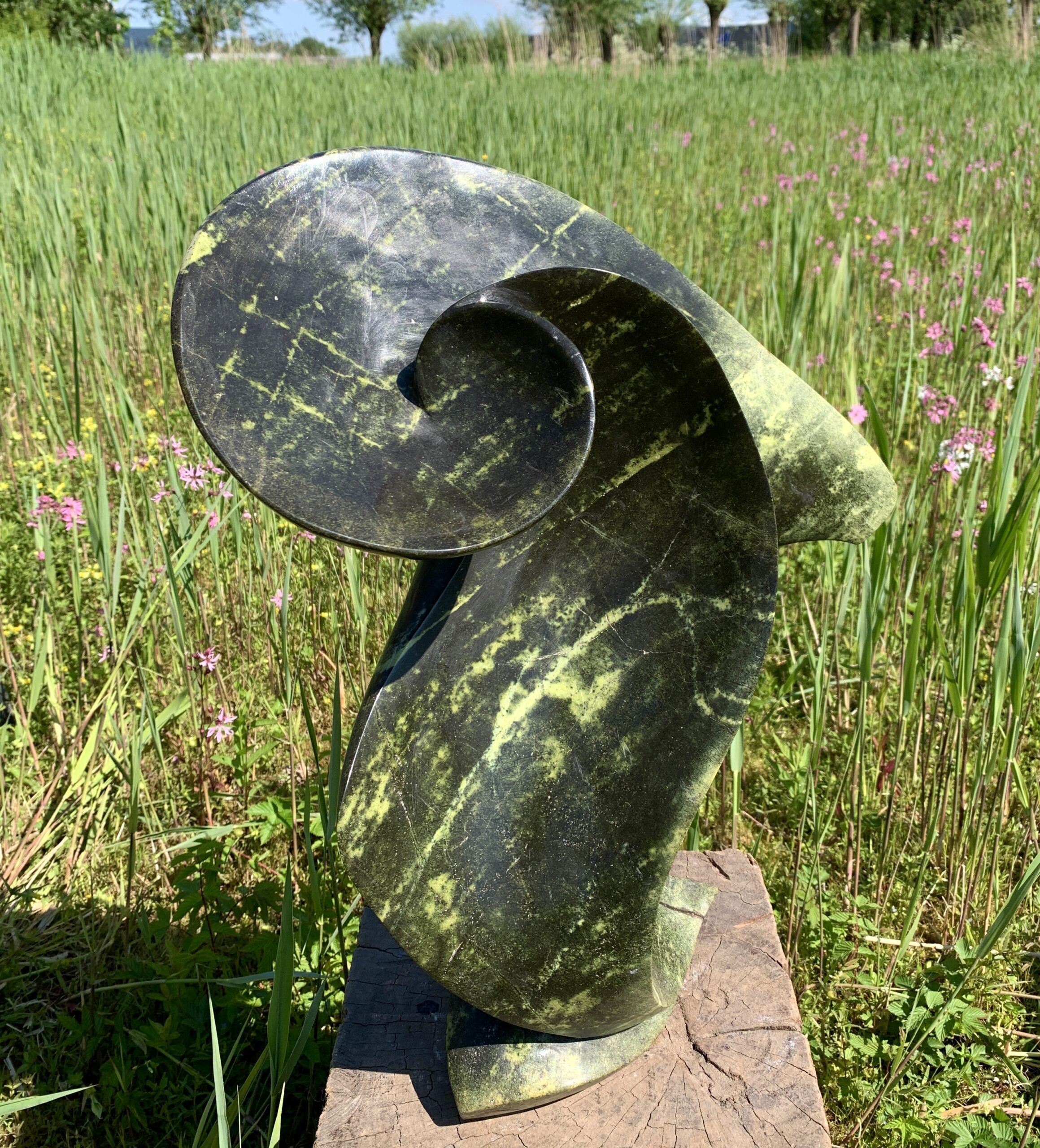 1701 - Stewart Chapenga - 53x41 - € 599,00