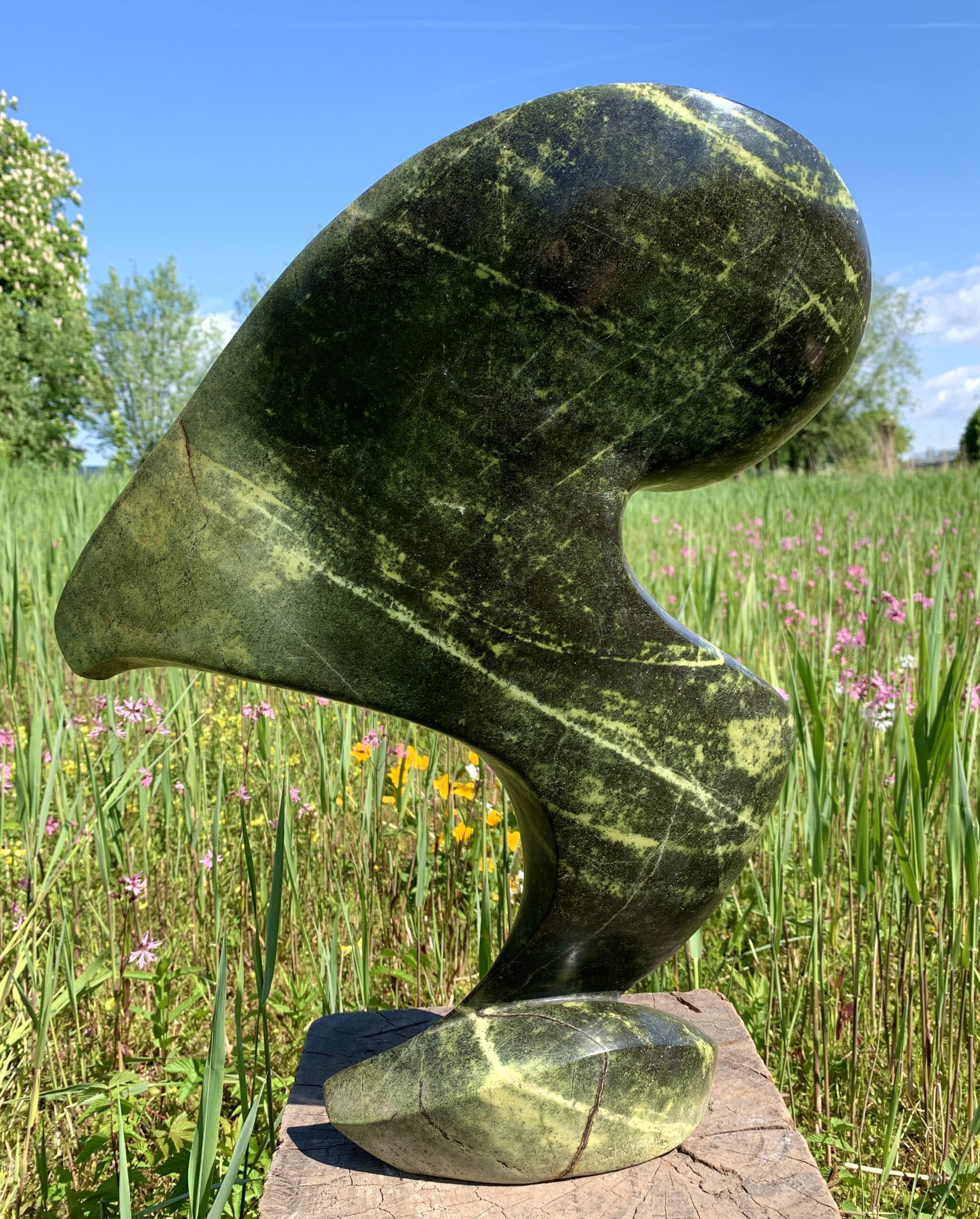 1701 - Stewart Chapenga - 53x41 - € 599,00