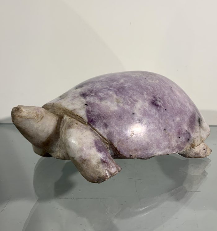 Nr. 6233 - Schildpad handgemaakt door Mwanza uit Harare in Zimbabwe